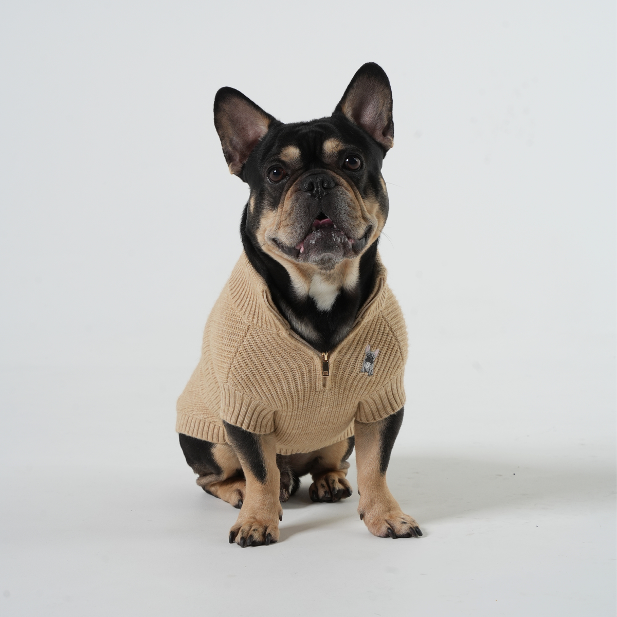 The Oxford Zip - French Bulldog