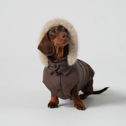Cocoa