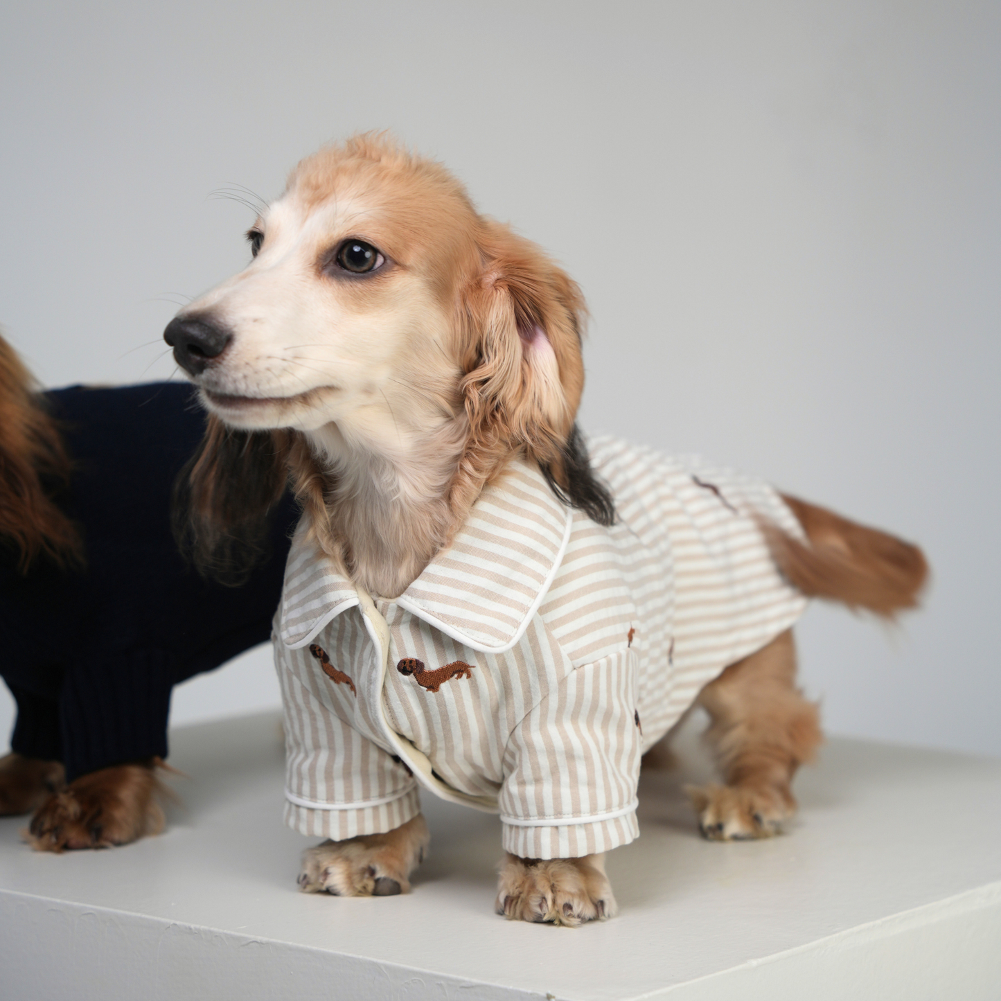 Almond Stripe