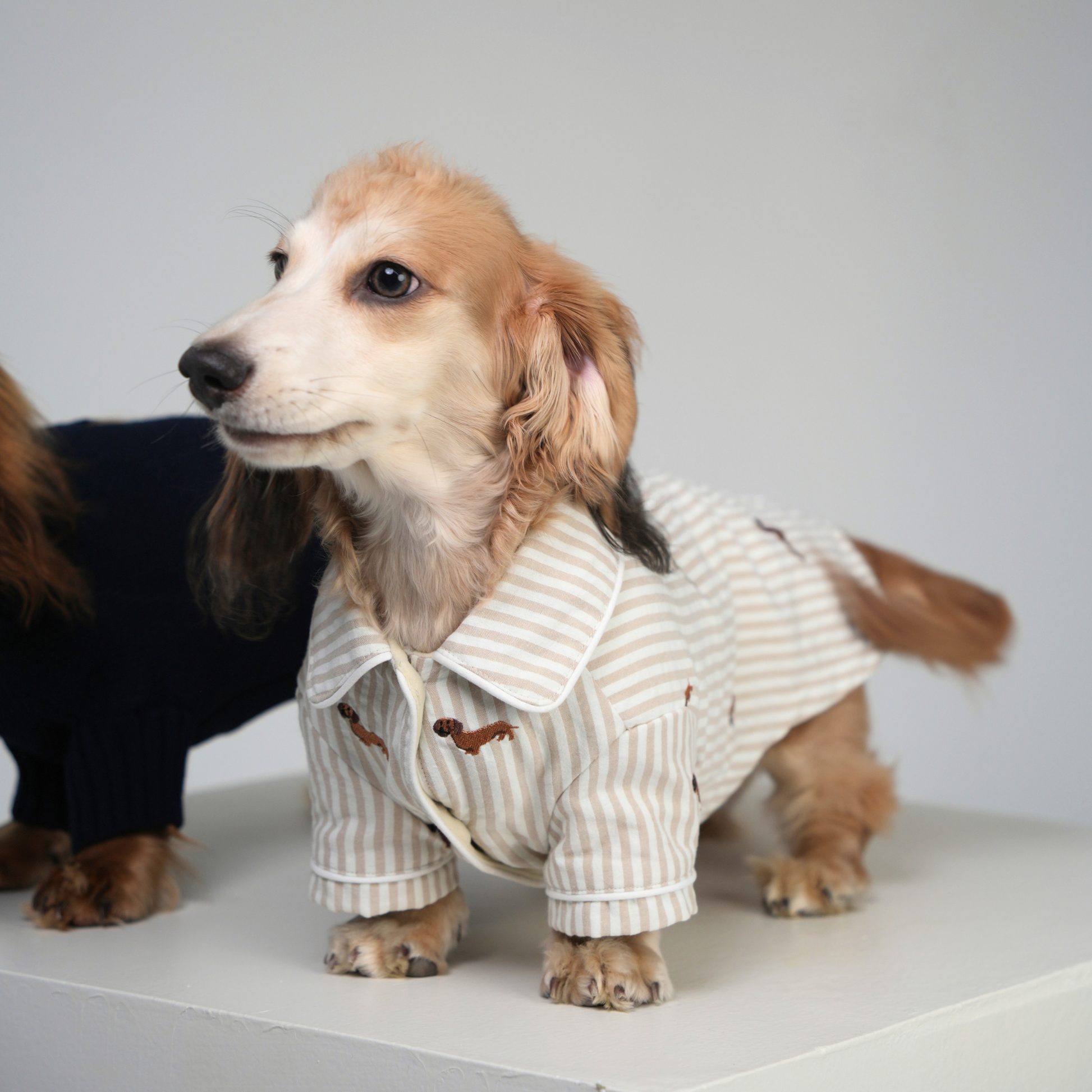 Almond Stripe