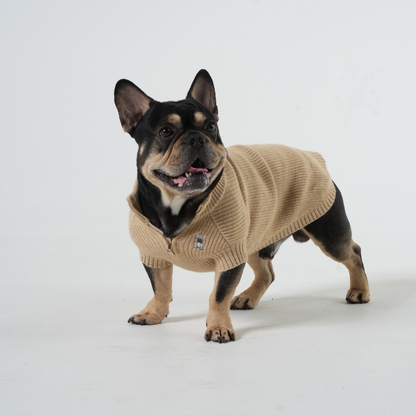 The Oxford Zip - French Bulldog