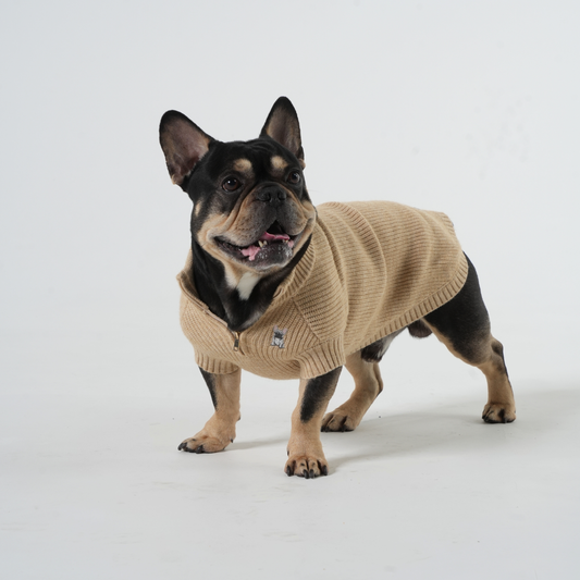 The Oxford Zip - French Bulldog