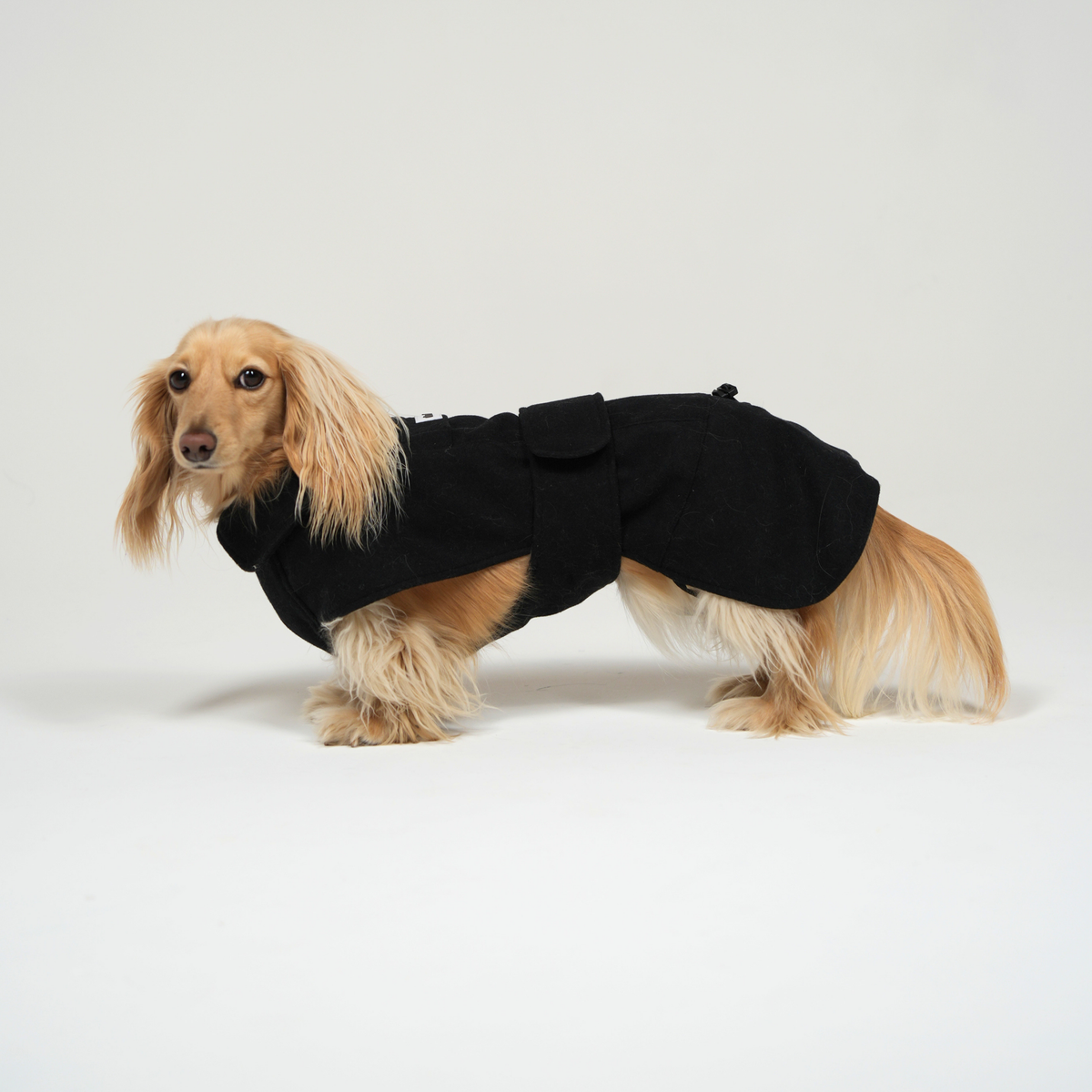 The Wool Coat – Dachshund Wool Coat | Doxie The Label – Doxie the