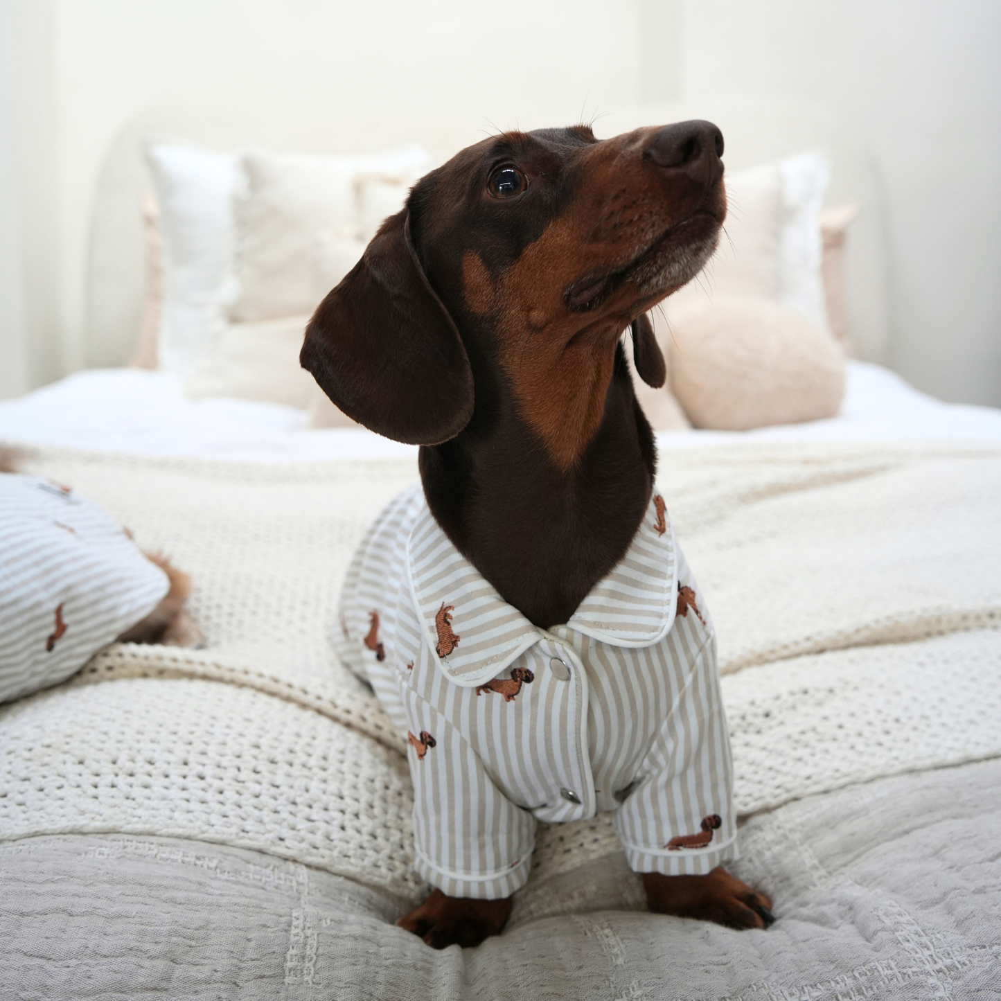 Almond Stripe