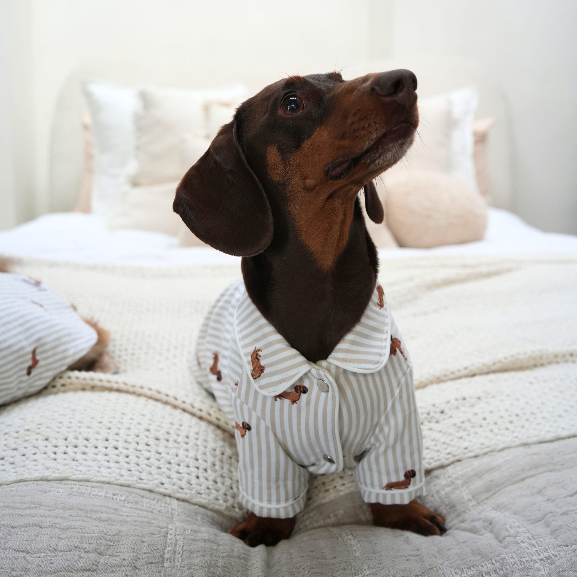 Almond Stripe
