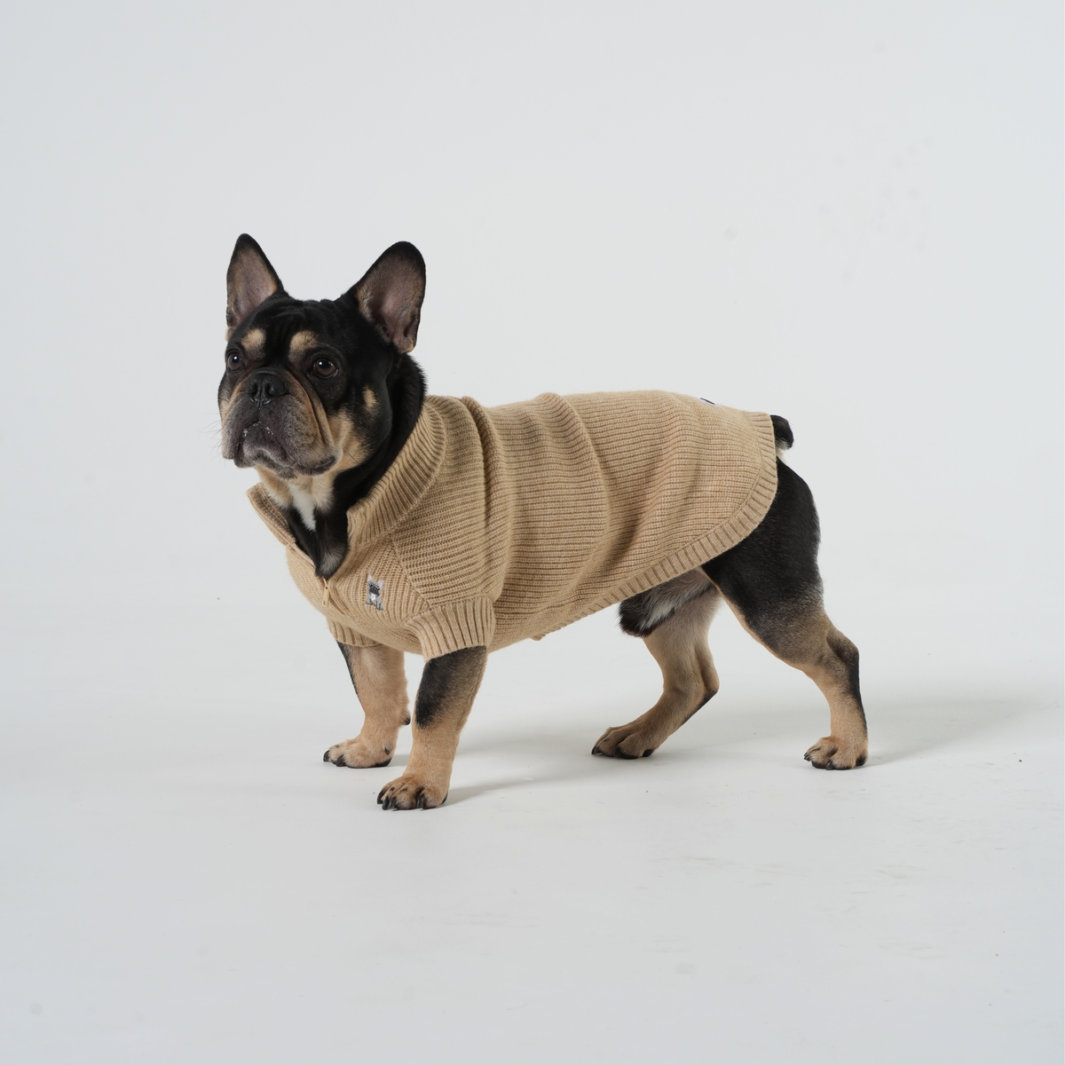 The Oxford Zip - French Bulldog