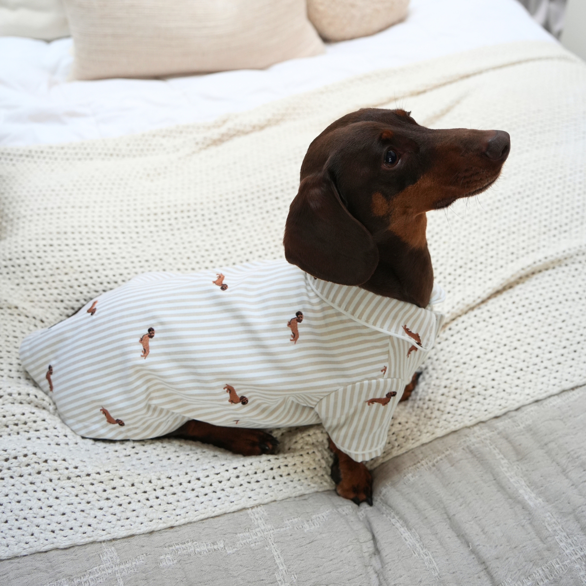 Almond Stripe