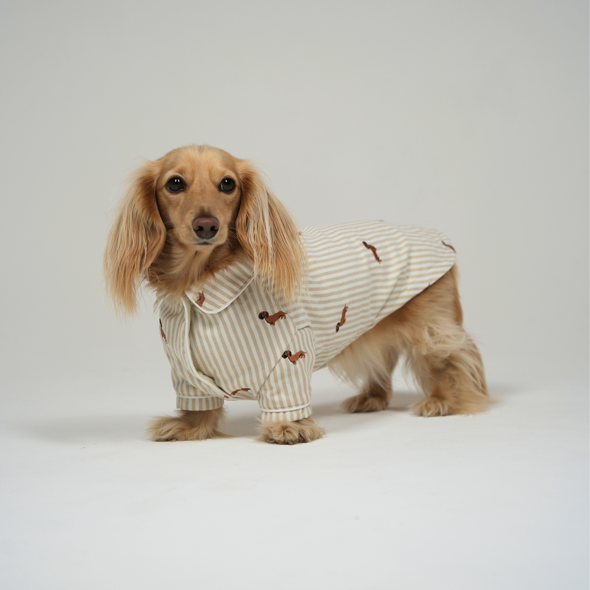 Almond Stripe