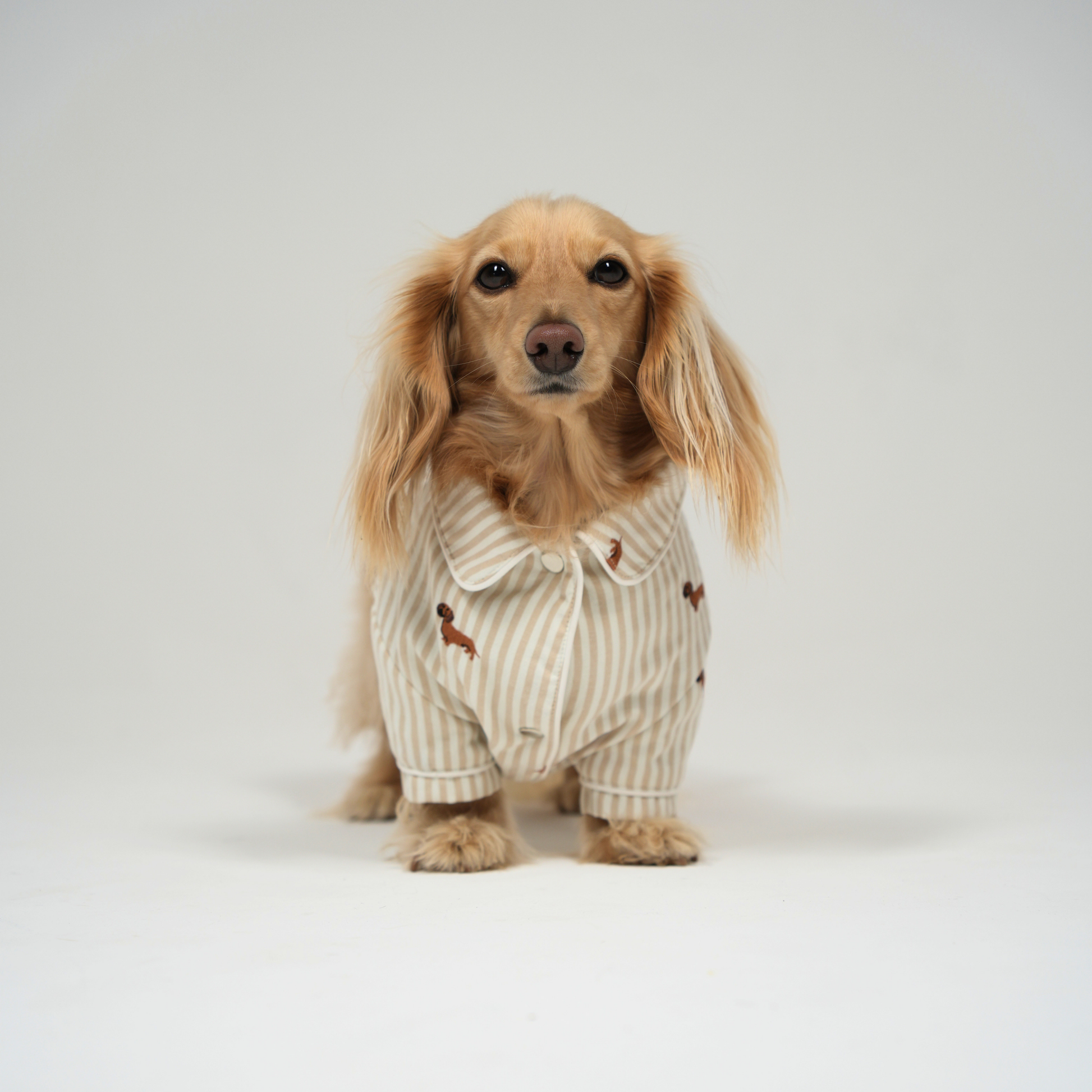 Almond Stripe