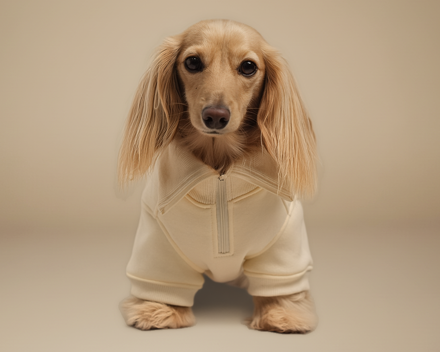 {{ product.title }} - {{ image.alt }} | Doxie the Label