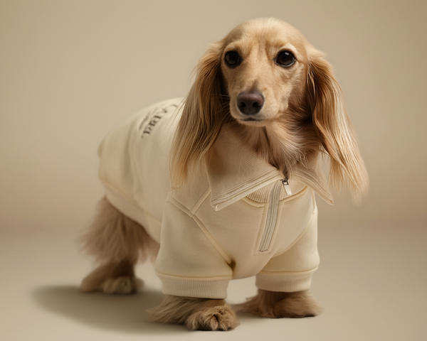 {{ product.title }} - {{ image.alt }} | Doxie the Label
