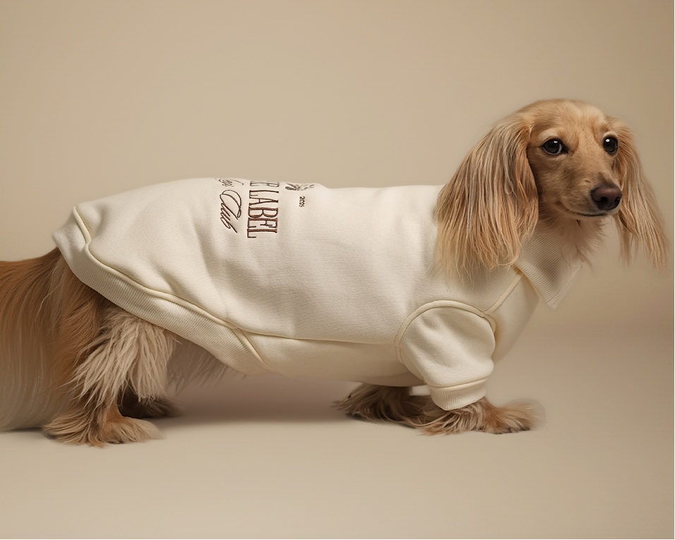 {{ product.title }} - {{ image.alt }} | Doxie the Label