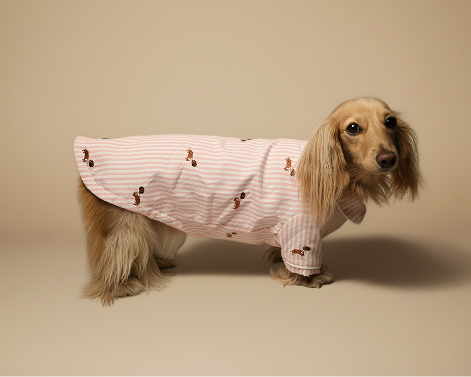 Blush Stripe