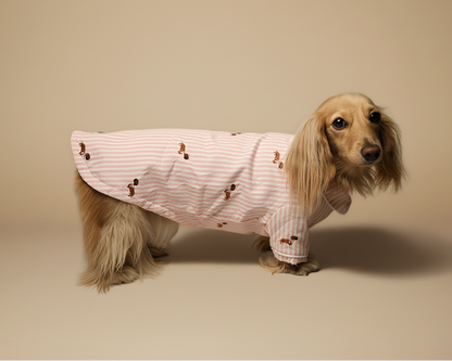Blush Stripe