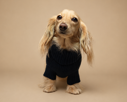 The Sausage Sweater