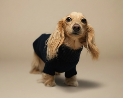 The Sausage Sweater