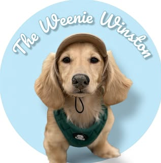 theweeniewinston