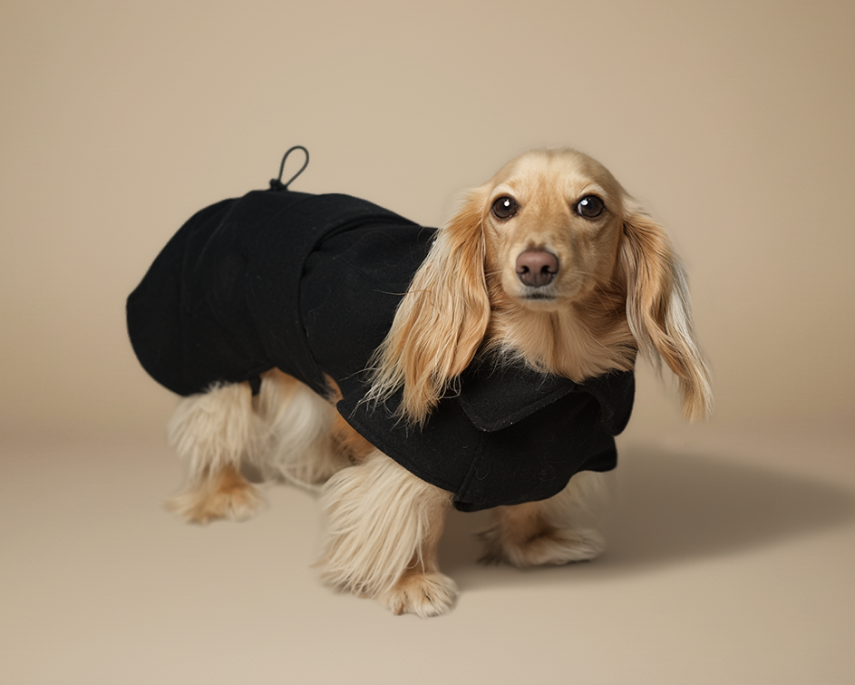 The Wool Coat