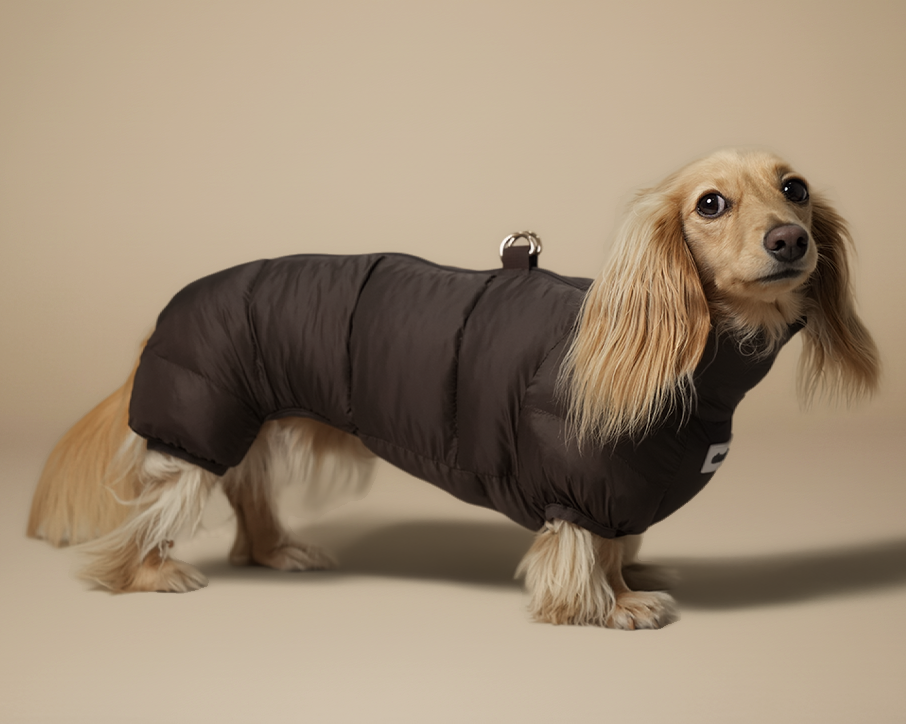 The 4-Leg Puffer