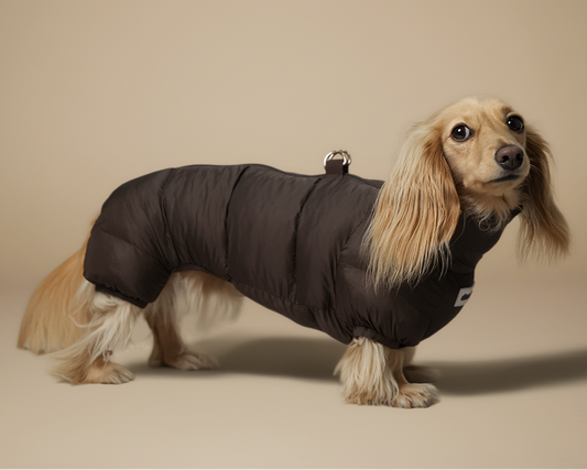 The 4-Leg Puffer