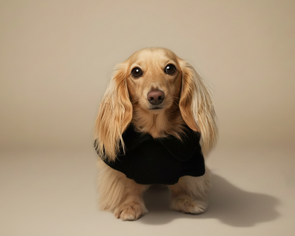 The Wool Coat